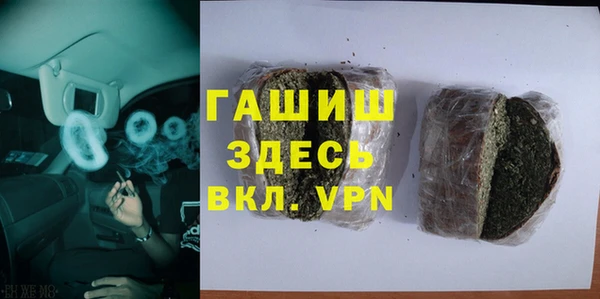 индика Богданович
