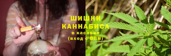 ГАЛЛЮЦИНОГЕННЫЕ ГРИБЫ Богородицк