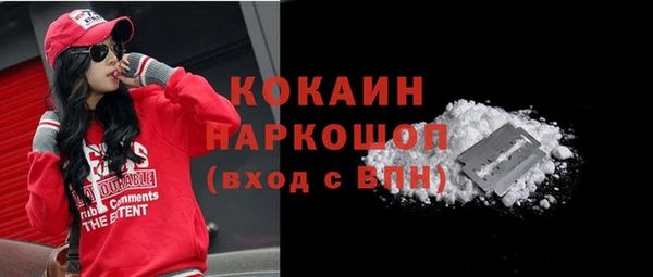 индика Богданович