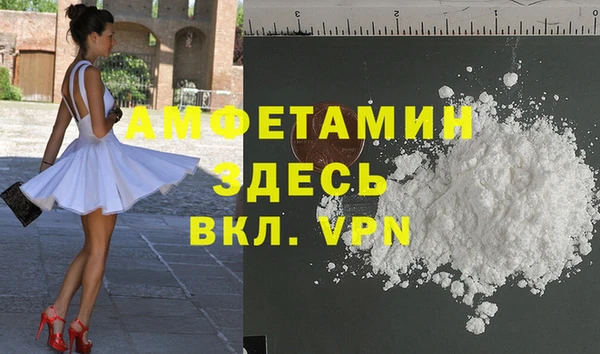 индика Богданович