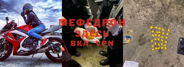 индика Богданович