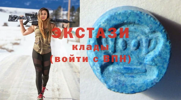 индика Богданович
