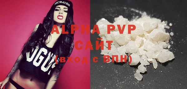 индика Богданович